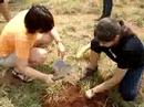 Desligue seu PC e v� plantar uma Arvore