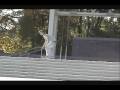 SLOW MO MOVIE MAKER VS PREMIER