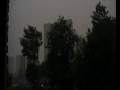 Zwaar onweer Hoogvliet 7 Augustus (Deel 2),met shelf cloud!!