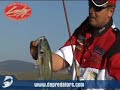 Lipless Lucky Craft - versatilidad espectacular Lipless Lucky Craft - versatilidad espectacular
