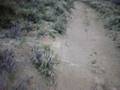 videos de wr250f.2008