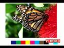 PC World Test Video PC World Test Video