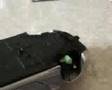 Building Porsche Boxter