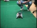 Aibo-Wiimote-at-URJC