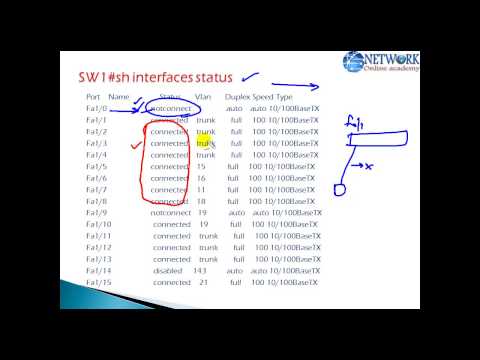 how to troubleshoot lan