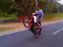 AD willy