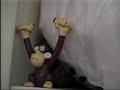 when poochie met monkey..this video isnt completely finished..the song is Backstabber by the dresden dolls.dont let your kids watch the music video of it..haha..hope someone likes this