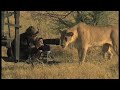 Cameraman and lioness get to know each other Cameraman and lioness get to know each other