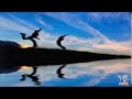 Insider Chiropractor Marketing | Google Domination II Insider Chiropractor Marketing | Google Domination II