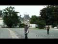 Dresden - Schloss Pillnitz aus der Luft