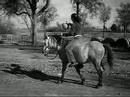 Bombproof BasketBall Pony Bombproof BasketBall Pony
