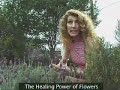 Healing Power of Flowers: Jason\