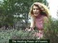 Flower essences: Healing Power of Flowers: Jasons Story