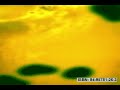 Biomimicking Materials - electrocromism 3