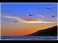 Assistir ao v�deo