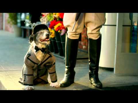 california powerball