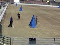 Schutzhund Nationals video for sale: Sample video
