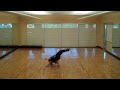 CapuraGinga Capoeira - Animado e Tarzan