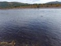 FISHING IN MONGOLIA