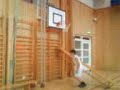 simon gergis super dunk