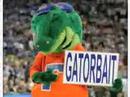 Florida Gator Gets TAILSMACKed!