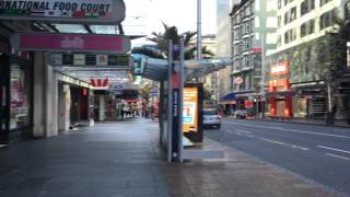 Walking In Auckland (New Zealand).