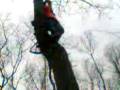 videos de benny tree stand.3gp