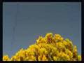Respirate by Photonic