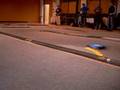 F103 F1 Gr C Indoor Training
