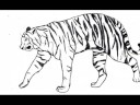 My anime/animal drawings My anime/animal drawings