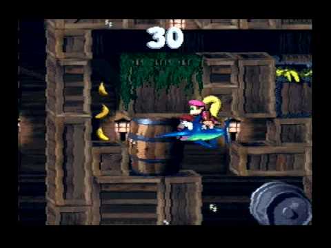 diddy kong and dixie kong