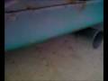 videos de thrush 1