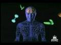 Duke University Professor Teaches About the Brain on Drugs
