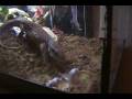 videos de SDV_0006.MP4