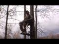 GhostBlind #5 - Invisible hunting blind compared to tree stands and ground blinds