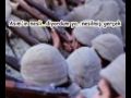 çanakkale şehitleri