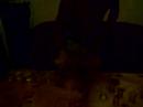 alcool record