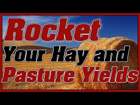 how to fertilize hay fields