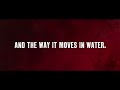 Video name
