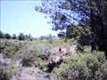 Vía Verde Antoñana - Murieta 2