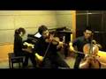 Zebedee Wedding Music- A Whole New World