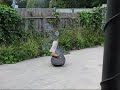BP Pipe Bomb VS Guitar