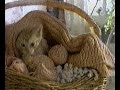 Friskies commercial from 1987 Friskies commercial from 1987