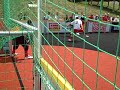 Poland vs Nigeria - Part three Poland vs Nigeria - Part three