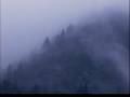 The Zen Mind - An Introduction