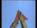 videos de Bird of Paradise
