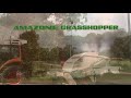 AMAZONE Grasshopper 2010