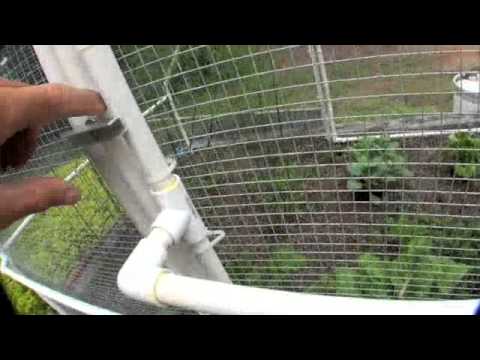how to grow vegetables in pvc pipe