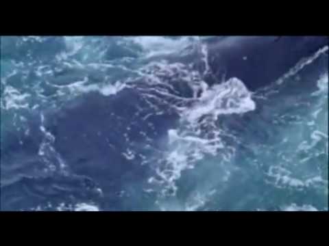 See video