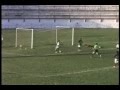 Cesinha... Médio Avançado